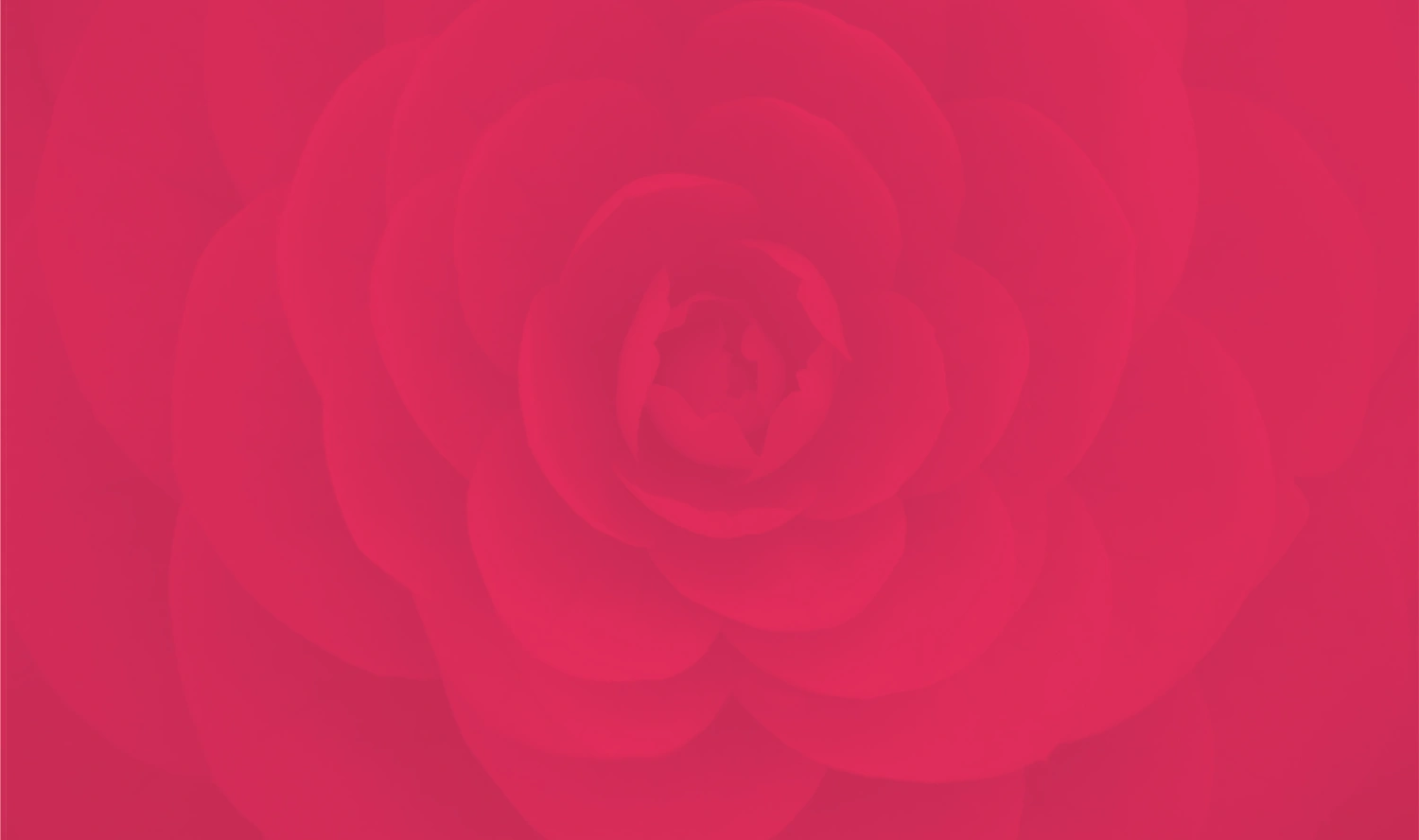 Sairama the signature The Pheonix